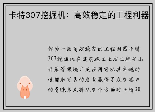 卡特307挖掘机：高效稳定的工程利器