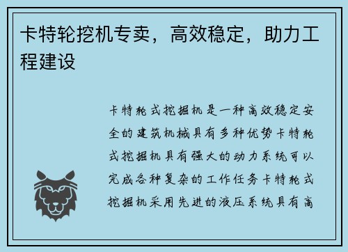 卡特轮挖机专卖，高效稳定，助力工程建设